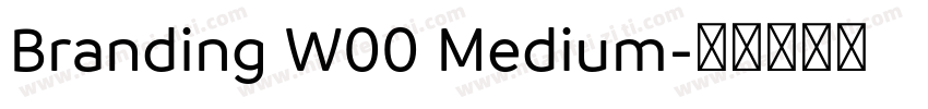 Branding W00 Medium字体转换
